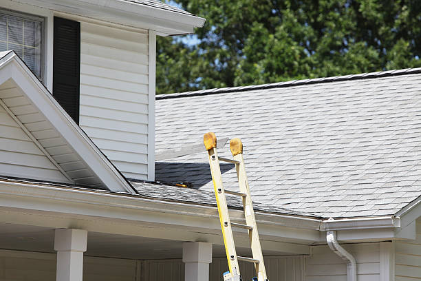 Best Siding Maintenance  in Brookdale, NJ